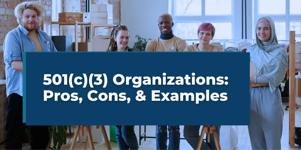 501(c)(3) Organizations: Pros, Cons, and Examples